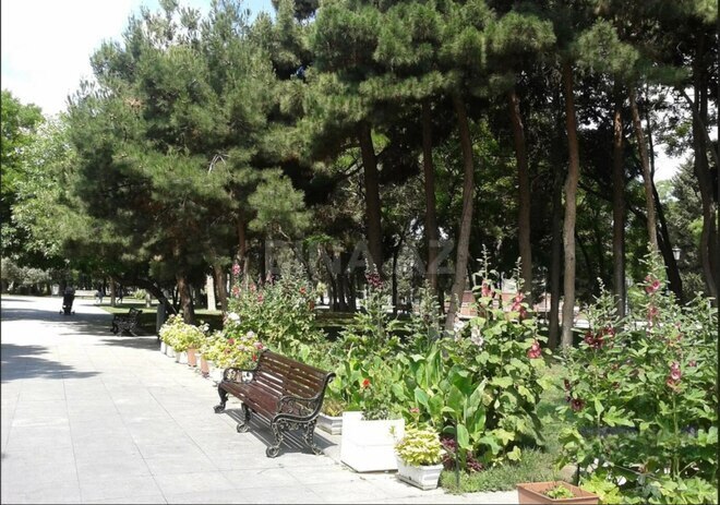 Satılır 2 otaqlı köhnə tikili 65.5 m², Elmlər Akademiyası m., photo 14 from 19