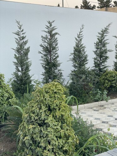 Продаётся 3-комн. дом/дача 144 м², пос. Новханы, photo 15 from 28