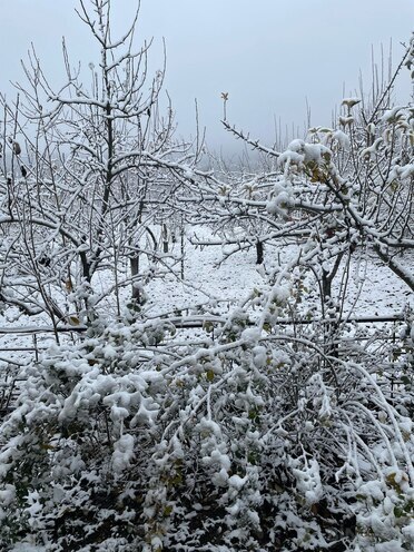 Продаётся 3-комн. дом/дача 77 м², photo 23 from 25