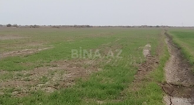 Продаётся  участок 3 100 сот, photo 3 from 5