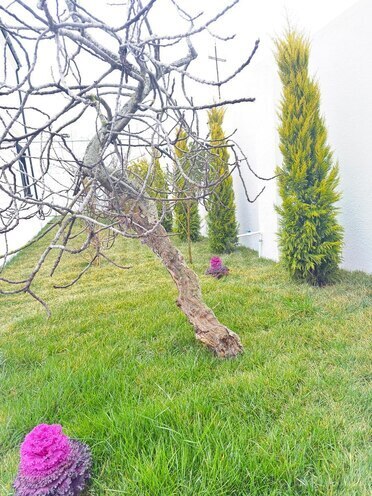 Продаётся 7-комн. дом/дача 450 м², пос. Бильгях, photo 9 from 31