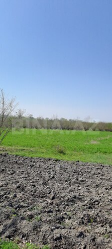 Satılır  torpaq 219 sot, photo 10 from 13