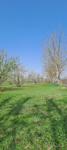 Satılır  torpaq 219 sot, photo 8 from 13