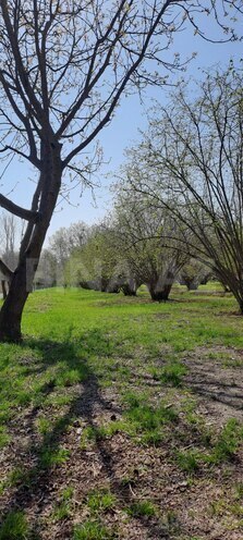 Satılır  torpaq 219 sot, photo 3 from 13