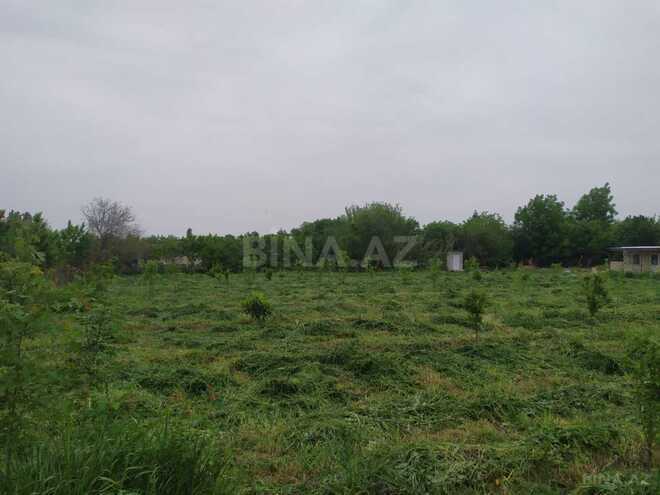 Satılır  torpaq 40 sot, photo 6 from 26