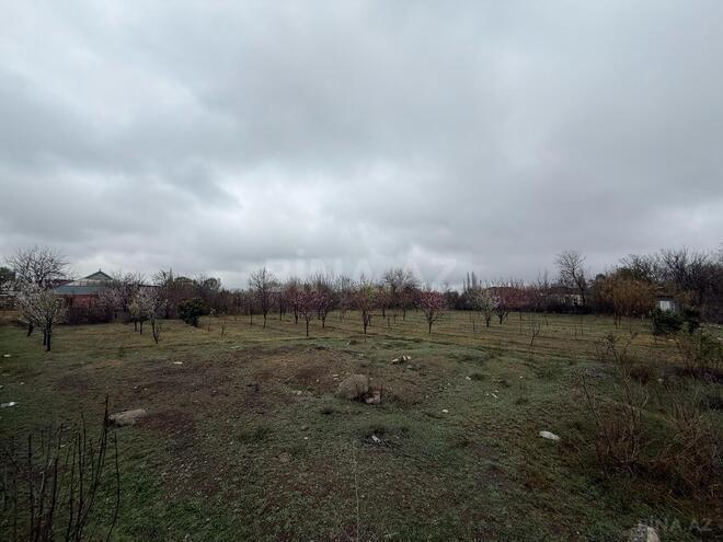 Satılır  torpaq 40 sot, photo 8 from 26