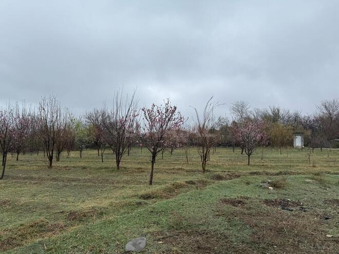 Satılır  torpaq 40 sot, photo 20 from 26