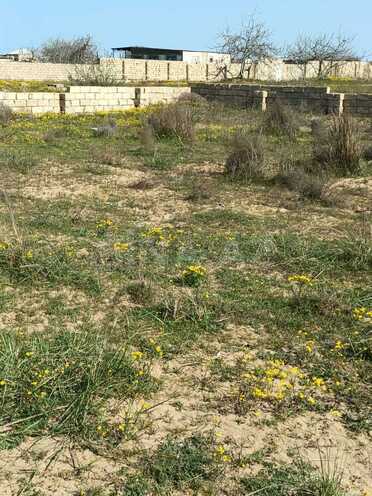 Продаётся  участок 5 сот, пос. Нардаран, photo 5 from 6