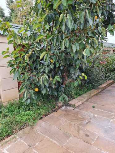 Продаётся 7-комн. дом/дача 250 м², Набрань р., photo 9 from 20