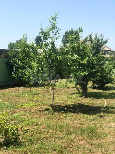 Продаётся 7-комн. дом/дача 250 м², Набрань р., photo 12 from 20