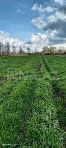 Продаётся  участок 233 сот, photo 5 from 6