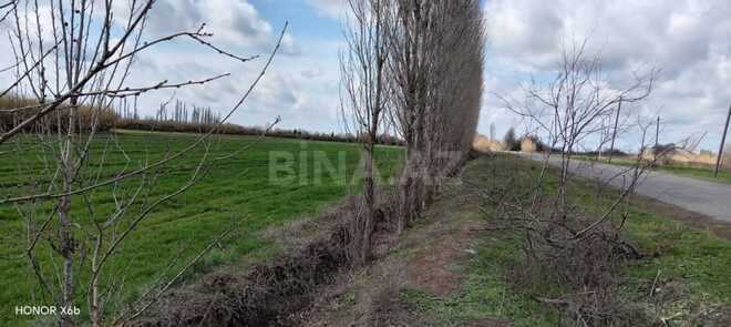 Продаётся  участок 233 сот, photo 3 from 6