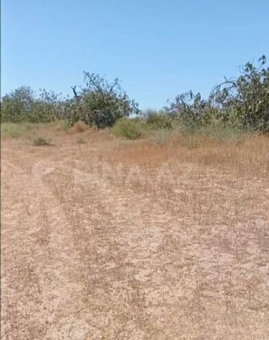 Продаётся  участок 12 сот, пос. Бильгях, photo 12 from 13