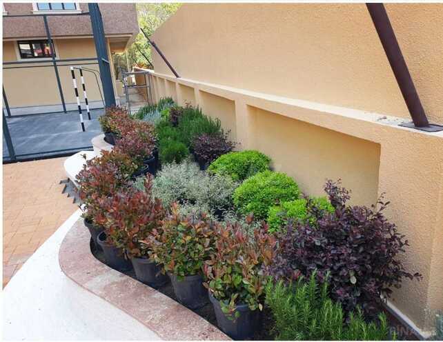 Satılır 2 otaqlı yeni tikili 70 m², 8-ci mikrorayon q., photo 18 from 28