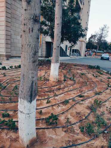 Satılır 2 otaqlı yeni tikili 69 m², Neftçilər m., photo 15 from 20