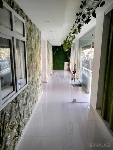 Сдаётся  объект 150 м², м. Шах Исмаил Хатаи, photo 14 from 21