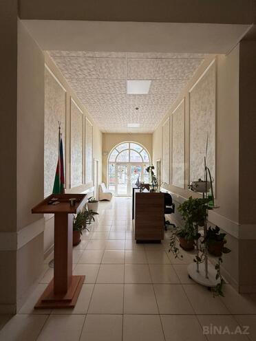 Сдаётся  объект 220 м², м. Гянджлик, photo 3 from 22