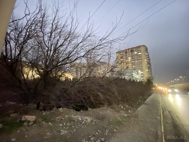 Продаётся  участок 98 сот, пос. Бадамдар, photo 3 from 5