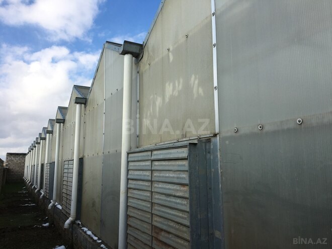 Satılır  obyekt 1 500 m², Türkan q., photo 21 from 27