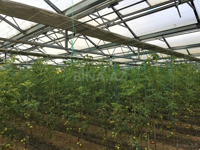 Satılır  obyekt 1 500 m², Türkan q., photo 7 from 27