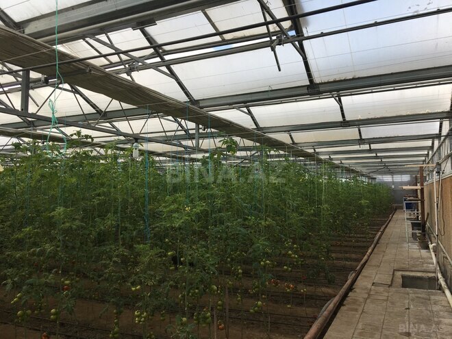 Satılır  obyekt 1 500 m², Türkan q., photo 5 from 27