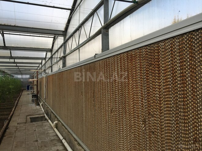 Satılır  obyekt 1 500 m², Türkan q., photo 6 from 27