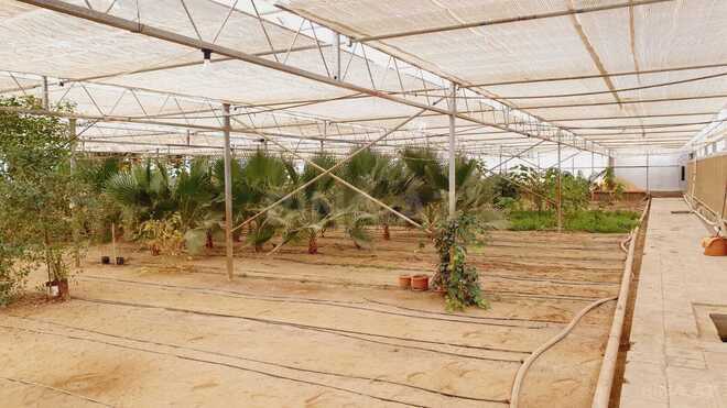 Satılır  obyekt 1 500 m², Türkan q., photo 22 from 27