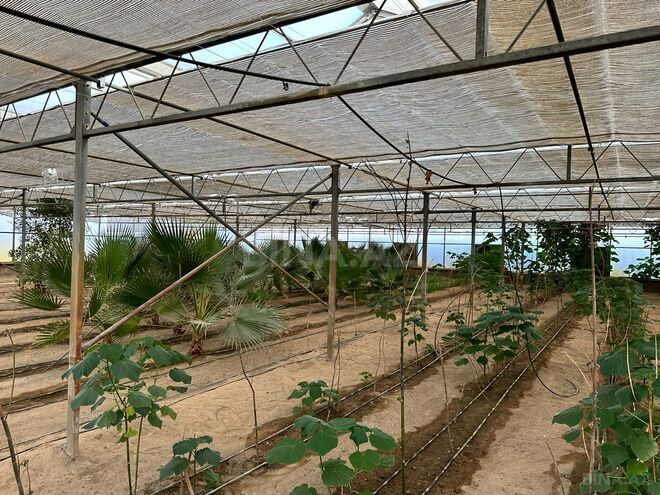 Satılır  obyekt 1 500 m², Türkan q., photo 12 from 27