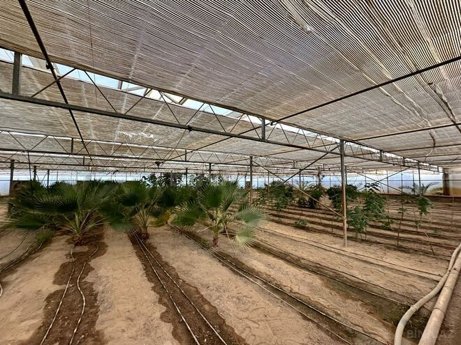 Satılır  obyekt 1 500 m², Türkan q., photo 11 from 27