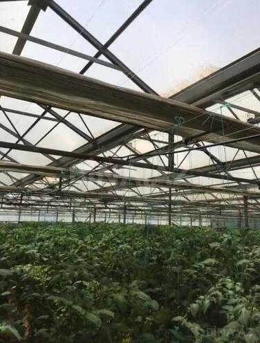 Satılır  obyekt 1 500 m², Türkan q., photo 23 from 27