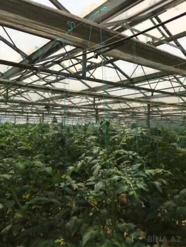 Satılır  obyekt 1 500 m², Türkan q., photo 25 from 27