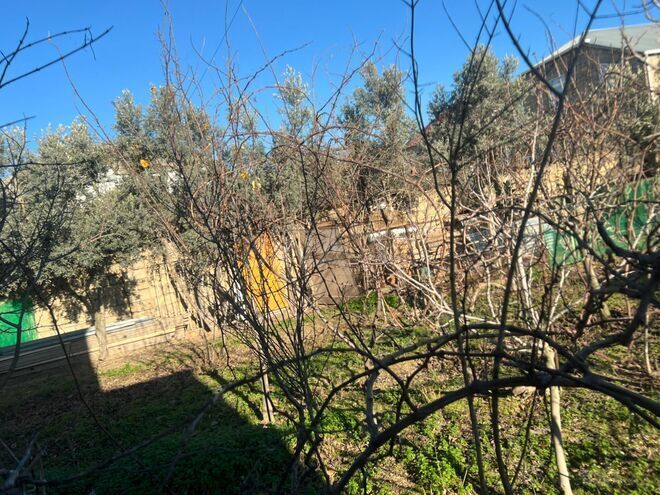 Satılır 2 otaqlı həyət evi/bağ evi 50 m², Hövsan q., photo 3 from 18
