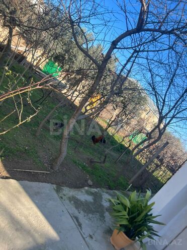 Satılır 2 otaqlı həyət evi/bağ evi 50 m², Hövsan q., photo 12 from 18