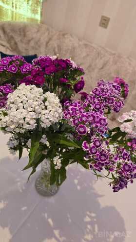 Продаётся 4-комн. дом/дача 110 м², пос. 7-ой мкр, photo 6 from 16