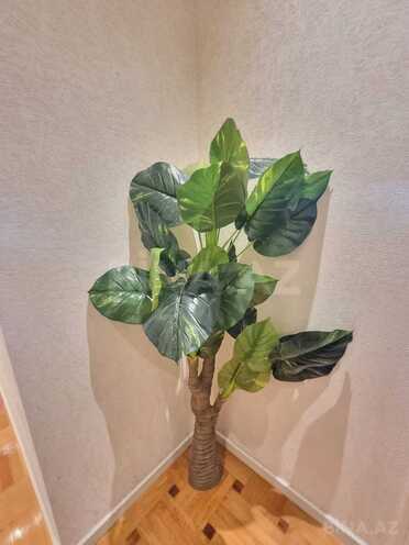 Satılır 4 otaqlı yeni tikili 170 m², Binəqədi r., photo 24 from 28