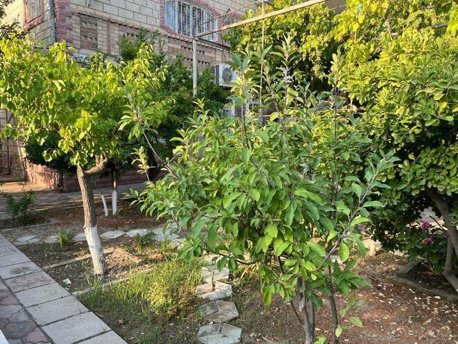 Продаётся 7-комн. дом/дача 260 м², пос. Горадил, photo 5 from 28