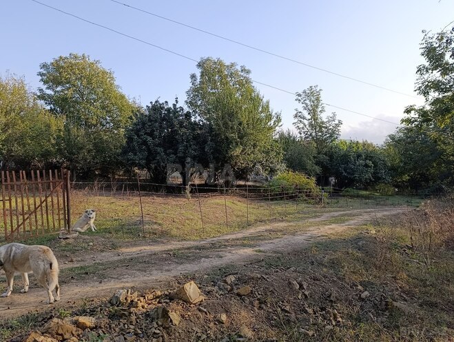 Satılır 2 otaqlı həyət evi/bağ evi 130 m², photo 6 from 30