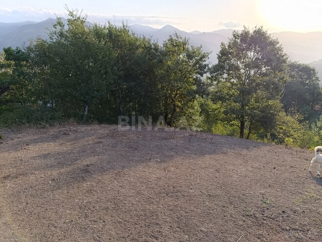 Satılır 2 otaqlı həyət evi/bağ evi 130 m², photo 24 from 30