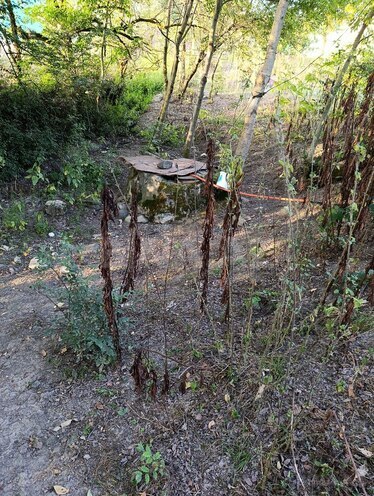 Satılır 2 otaqlı həyət evi/bağ evi 130 m², photo 10 from 30