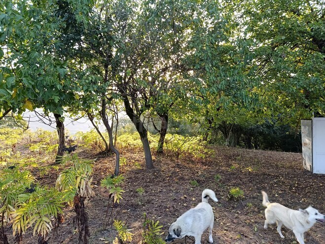 Satılır 2 otaqlı həyət evi/bağ evi 130 m², photo 28 from 30