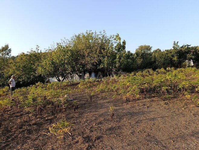 Satılır 2 otaqlı həyət evi/bağ evi 130 m², photo 18 from 30