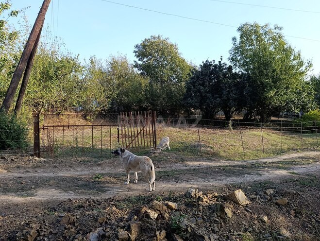 Satılır 2 otaqlı həyət evi/bağ evi 130 m², photo 7 from 30