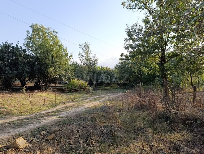 Satılır 2 otaqlı həyət evi/bağ evi 130 m², photo 5 from 30