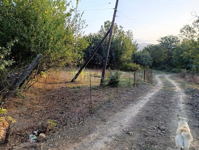 Satılır 2 otaqlı həyət evi/bağ evi 130 m², photo 23 from 30