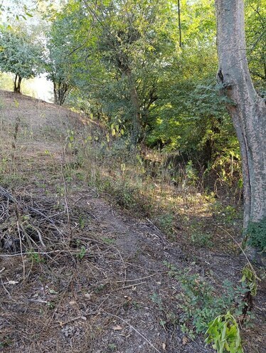 Satılır 2 otaqlı həyət evi/bağ evi 130 m², photo 11 from 30