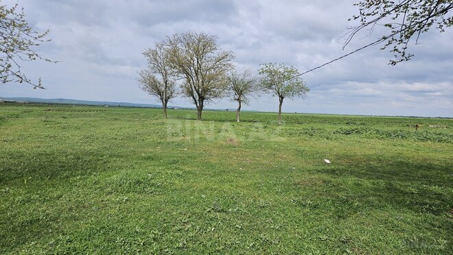 Satılır  torpaq 58 sot, photo 3 from 8