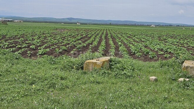 Satılır  torpaq 58 sot, photo 4 from 8