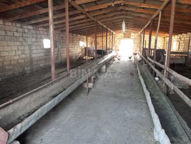 Продаётся 2-комн. дом/дача 54 м², photo 3 from 12