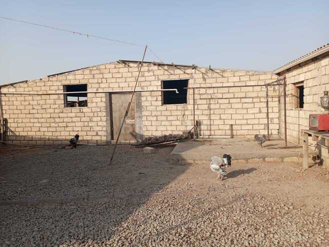 Продаётся 2-комн. дом/дача 54 м², photo 9 from 12