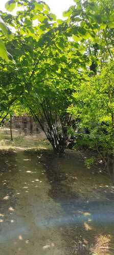 Продаётся  участок 6 сот, м. Насими, photo 4 from 6